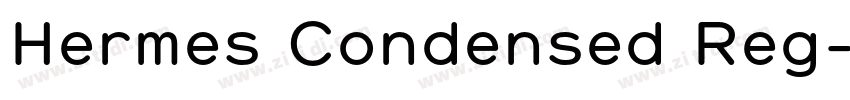 Hermes Condensed Reg字体转换